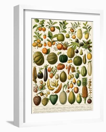 Tropical Fruits-null-Framed Giclee Print