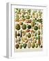 Tropical Fruits-null-Framed Giclee Print