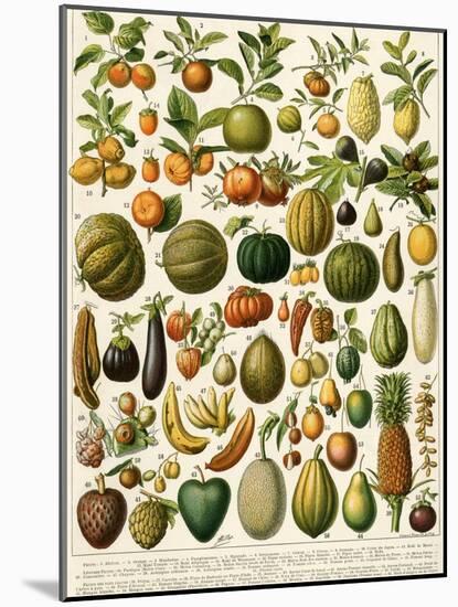 Tropical Fruits-null-Mounted Giclee Print