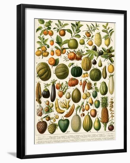 Tropical Fruits-null-Framed Giclee Print