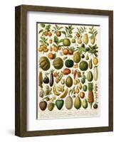 Tropical Fruits-null-Framed Premium Giclee Print