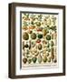 Tropical Fruits-null-Framed Premium Giclee Print