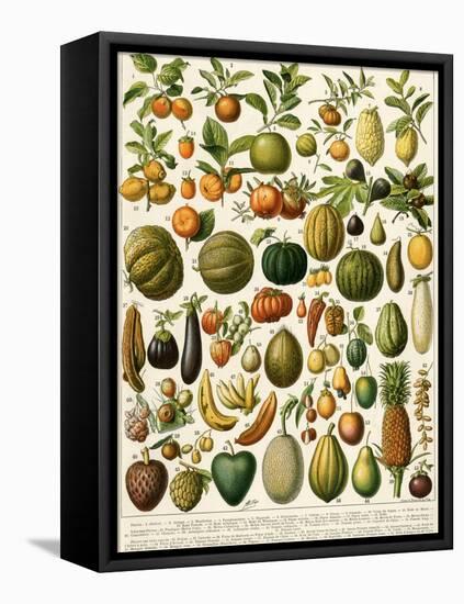 Tropical Fruits-null-Framed Stretched Canvas