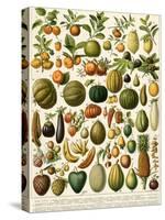 Tropical Fruits-null-Stretched Canvas