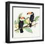 Tropical Fun Bird I Leaves-Harriet Sussman-Framed Art Print