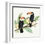 Tropical Fun Bird I Leaves-Harriet Sussman-Framed Art Print