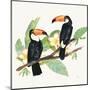 Tropical Fun Bird I Leaves-Harriet Sussman-Mounted Art Print