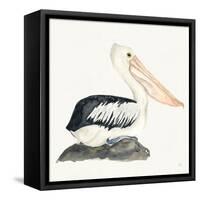 Tropical Fun Bird II-Harriet Sussman-Framed Stretched Canvas