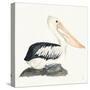 Tropical Fun Bird II-Harriet Sussman-Stretched Canvas