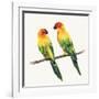 Tropical Fun Bird III-Harriet Sussman-Framed Art Print