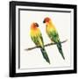 Tropical Fun Bird III-Harriet Sussman-Framed Art Print