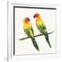 Tropical Fun Bird III-Harriet Sussman-Framed Art Print