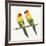 Tropical Fun Bird III-Harriet Sussman-Framed Art Print