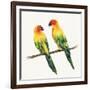 Tropical Fun Bird III-Harriet Sussman-Framed Art Print