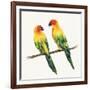 Tropical Fun Bird III-Harriet Sussman-Framed Art Print