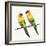 Tropical Fun Bird III-Harriet Sussman-Framed Art Print