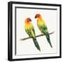 Tropical Fun Bird III-Harriet Sussman-Framed Art Print