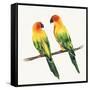 Tropical Fun Bird III-Harriet Sussman-Framed Stretched Canvas