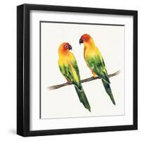 Tropical Fun Bird III-Harriet Sussman-Framed Art Print