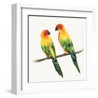 Tropical Fun Bird III-Harriet Sussman-Framed Art Print