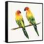 Tropical Fun Bird III-Harriet Sussman-Framed Stretched Canvas