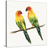 Tropical Fun Bird III-Harriet Sussman-Stretched Canvas