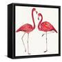 Tropical Fun Bird IV-Harriet Sussman-Framed Stretched Canvas