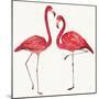 Tropical Fun Bird IV-Harriet Sussman-Mounted Art Print