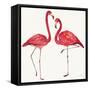 Tropical Fun Bird IV-Harriet Sussman-Framed Stretched Canvas