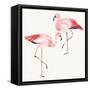 Tropical Fun Bird V-Harriet Sussman-Framed Stretched Canvas