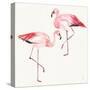 Tropical Fun Bird V-Harriet Sussman-Stretched Canvas