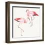 Tropical Fun Bird V-Harriet Sussman-Framed Art Print