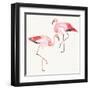 Tropical Fun Bird V-Harriet Sussman-Framed Art Print