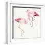 Tropical Fun Bird V-Harriet Sussman-Framed Art Print