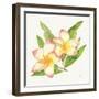 Tropical Fun Flowers I with Gold-Harriet Sussman-Framed Art Print