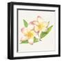 Tropical Fun Flowers I-Harriet Sussman-Framed Art Print