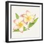 Tropical Fun Flowers I-Harriet Sussman-Framed Art Print