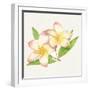 Tropical Fun Flowers I-Harriet Sussman-Framed Art Print