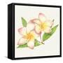 Tropical Fun Flowers I-Harriet Sussman-Framed Stretched Canvas