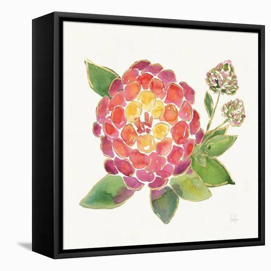 Tropical Fun Flowers II with Gold-Harriet Sussman-Framed Stretched Canvas