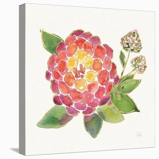 Tropical Fun Flowers II with Gold-Harriet Sussman-Stretched Canvas