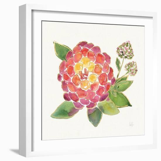 Tropical Fun Flowers II with Gold-Harriet Sussman-Framed Art Print