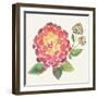 Tropical Fun Flowers II-Harriet Sussman-Framed Art Print