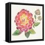 Tropical Fun Flowers II-Harriet Sussman-Framed Stretched Canvas