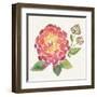 Tropical Fun Flowers II-Harriet Sussman-Framed Art Print