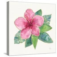 Tropical Fun Flowers III with Gold-Harriet Sussman-Stretched Canvas
