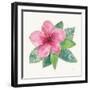 Tropical Fun Flowers III with Gold-Harriet Sussman-Framed Art Print