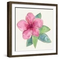 Tropical Fun Flowers III-Harriet Sussman-Framed Art Print