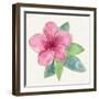 Tropical Fun Flowers III-Harriet Sussman-Framed Art Print