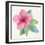 Tropical Fun Flowers III-Harriet Sussman-Framed Art Print